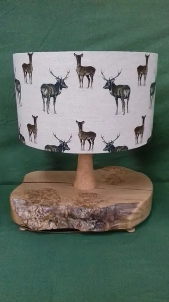Handmade antler table lamp with country-style shade — David Thorne, photograph 2