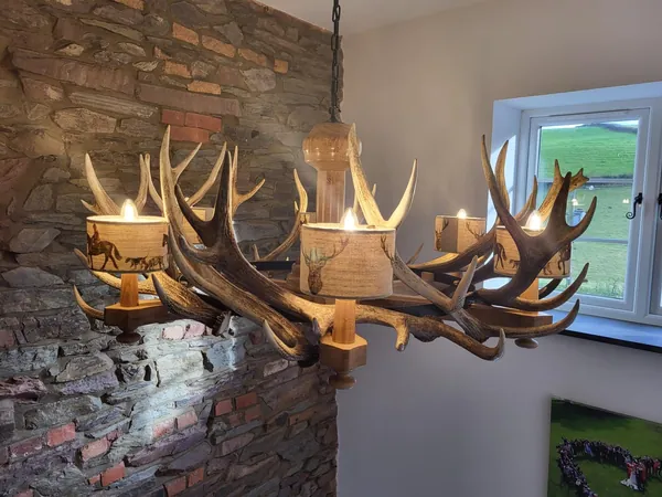 Handcrafted stag-antler chandelier and country lighting — David Thorne, photograph 12
