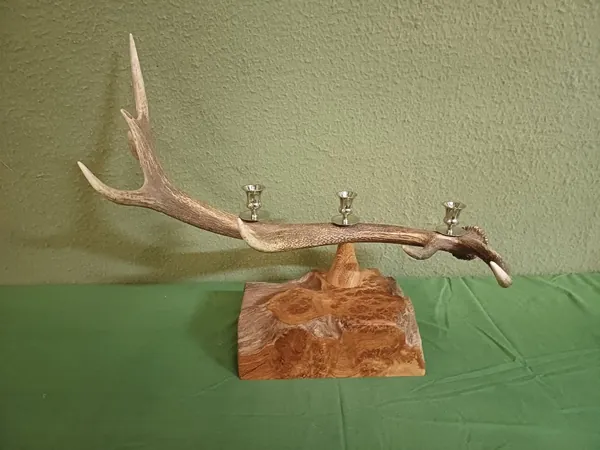 Natural stag antlers displayed during the design and making of handcrafted lighting — David Thorne, photograph 14