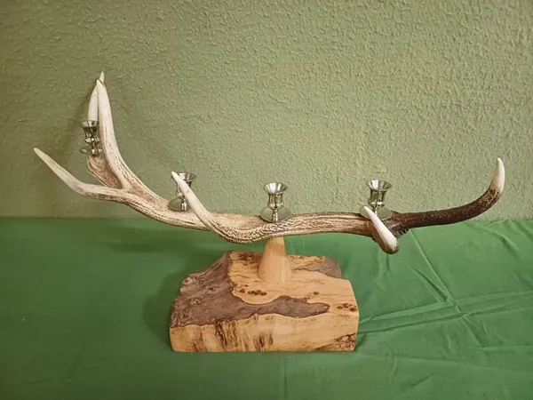 Natural stag antlers displayed during the design and making of handcrafted lighting — David Thorne, photograph 15