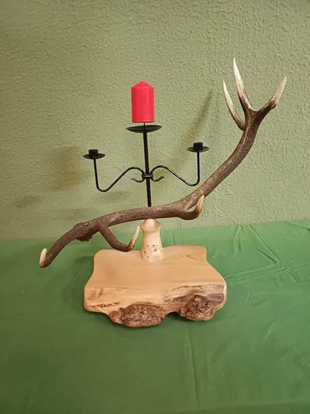 Natural stag antlers displayed during the design and making of handcrafted lighting — David Thorne, photograph 16