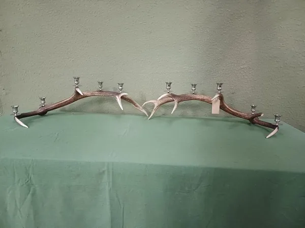 Natural stag antlers displayed during the design and making of handcrafted lighting — David Thorne, photograph 19