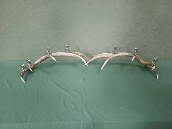 Natural stag antlers displayed during the design and making of handcrafted lighting — David Thorne, photograph 20