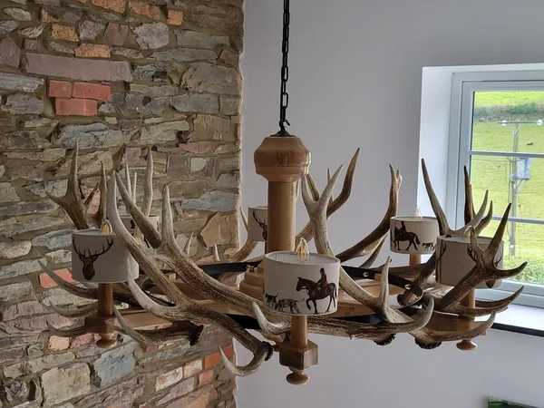 Handcrafted stag-antler chandelier and country lighting — David Thorne, photograph 51