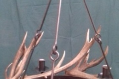 19 Antler chandelier 5
