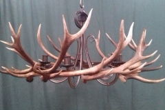 15 Antler chandelier 1